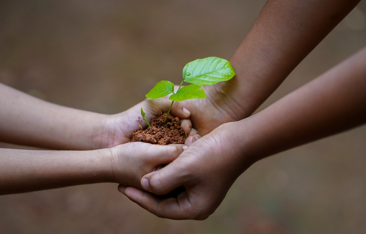 두 명의 손 안에 토양과 새싹을 담고 있는 사진