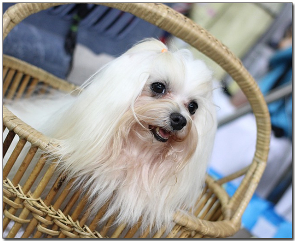 ๋ฐ๊ตฌ๋์ ์์์๋ ์์ธ