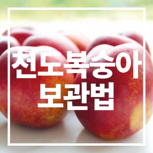 천도복숭아 보관법