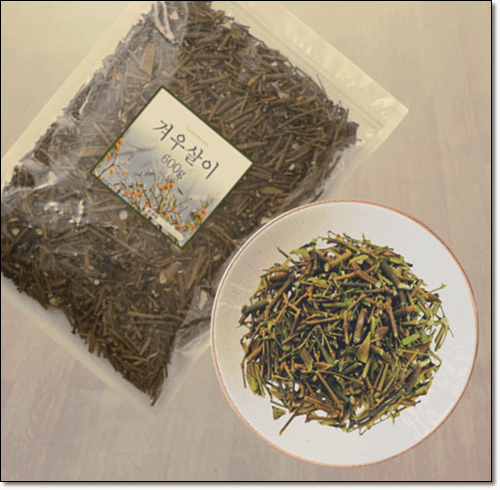 한약재 겨우살이