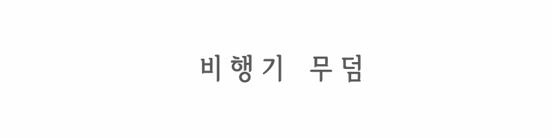 비행기 무덤