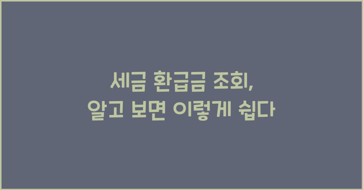 세금 환급금 조회
