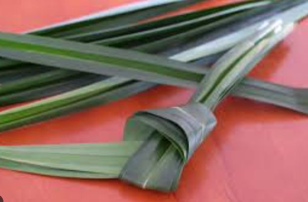 판단 잎은 보통 이렇게 묶어서 넣습니다 (photo: New Malaysia Kitchen)