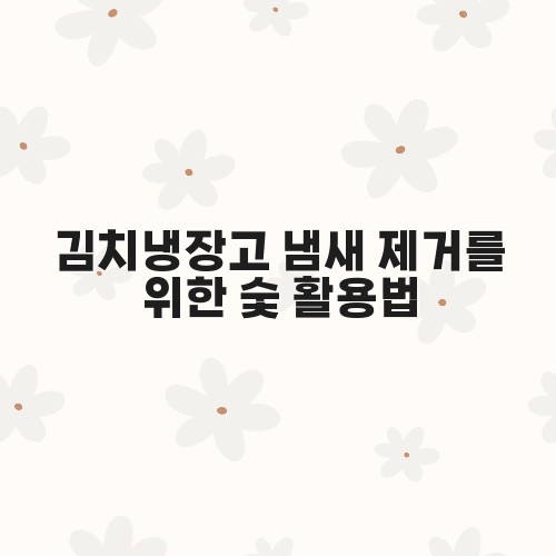 김치냉장고 냄새 제거를 위한 숯 활용법