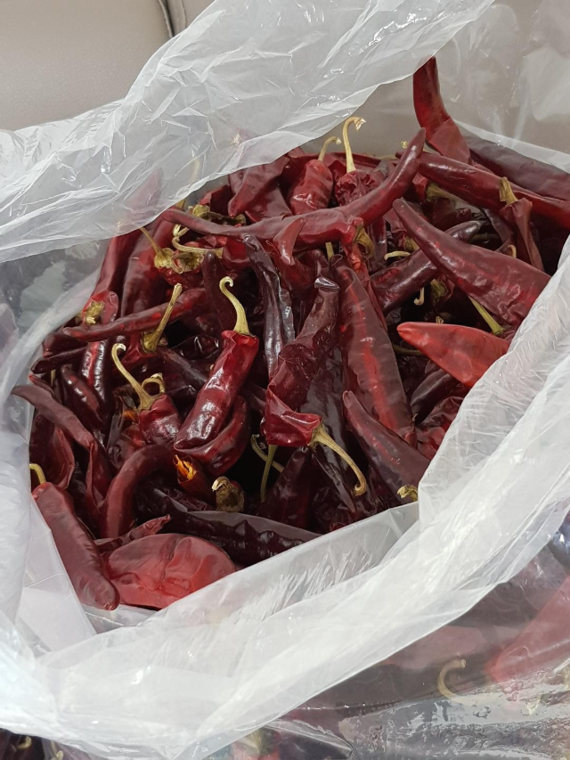 2021고추시세 : 올해고추시세 건고추가격