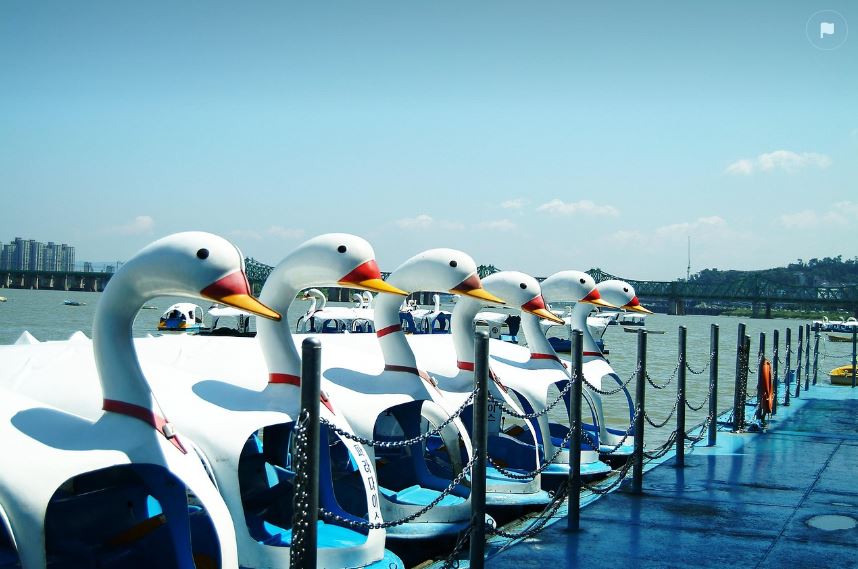 중복,더위,경제,물놀이