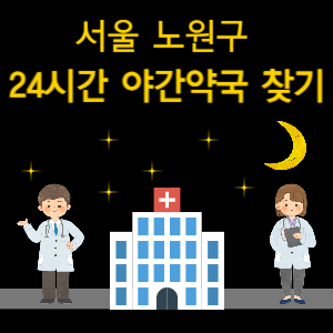 서울 노원구 24시간 야간 심야 당번 약국 찾기