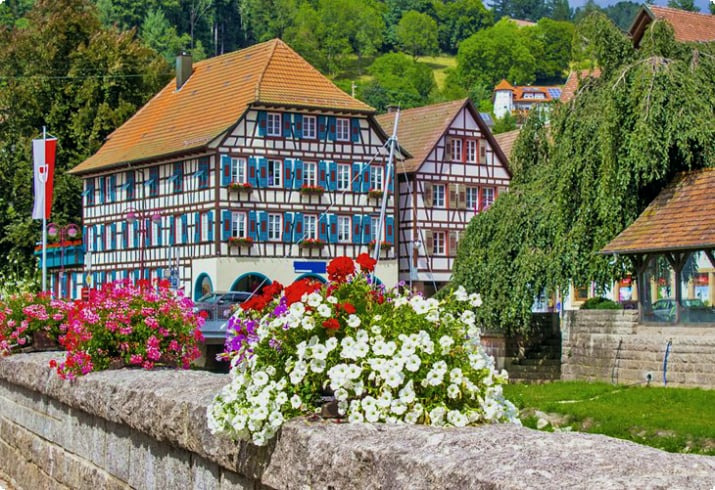 블랙 포레스트 (Black Forest