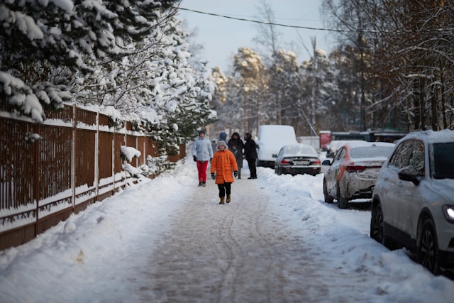 한국은행 화폐박물관 경제교육 예약 꿀팁