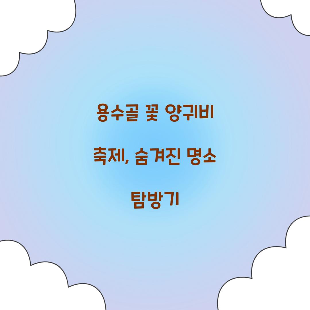 용수골 꽃 양귀비 축제