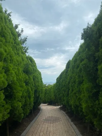 압해도 분재공원 근처 선착장에서의 낚시 농어와 도다리 포인트 소개 완벽 낚시터_15