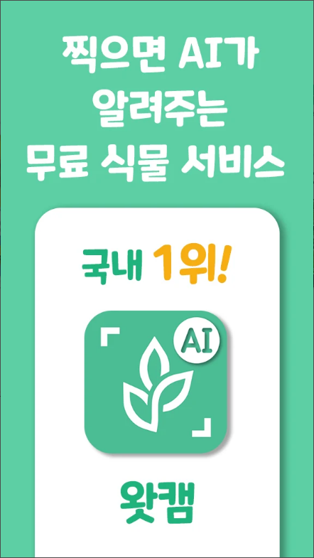 왓캠, 꽃 이름 찾기 어플, 꽃 식별 하기, 식물 이름 찾기