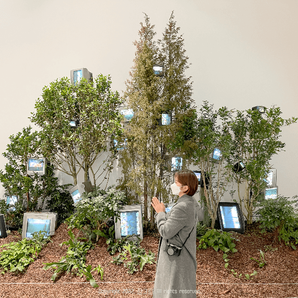 울산가볼만한곳