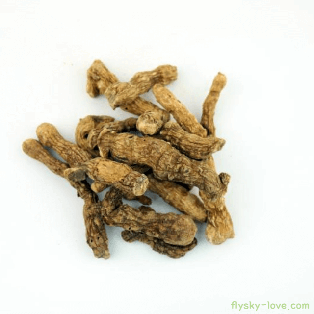 남성 정력, 피부 미용에 좋은 둥굴레