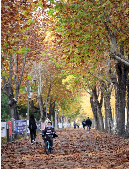 기초생활보장 수급자와 기초연금 수급자의 차이점