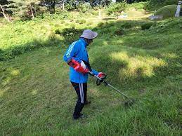 벌초대행 가격비교