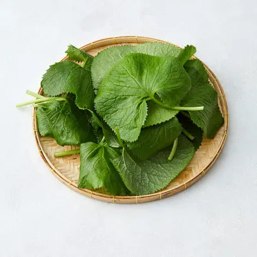 곰취 먹는방법 쌈 무침 장아찌 만드는법 요리 데치는방법_4