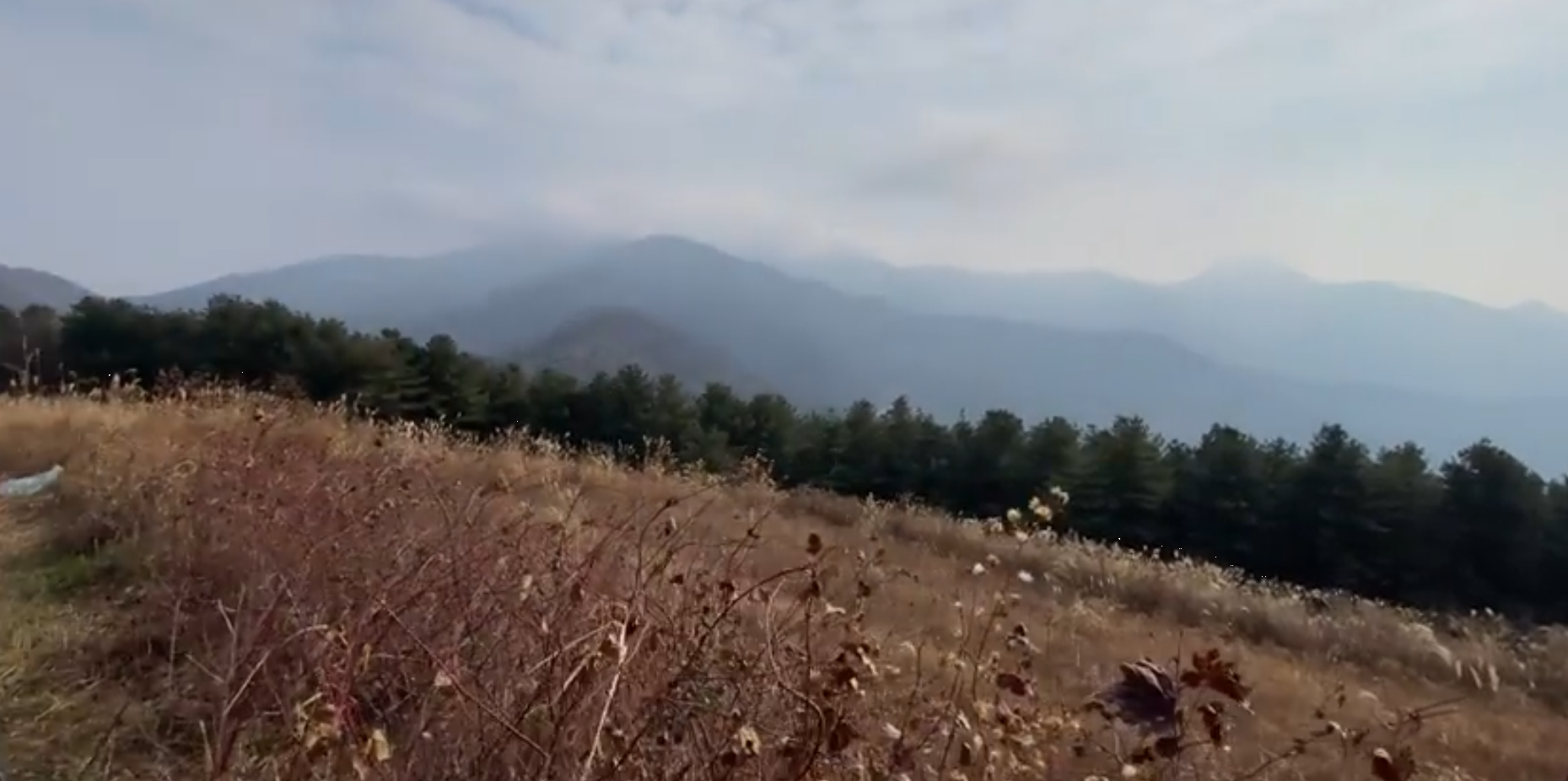 화학산정상에서바라보는 풍경