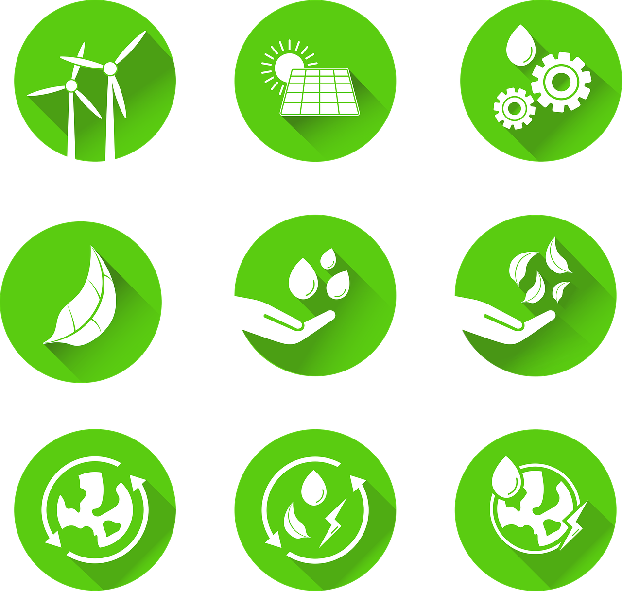 지속 가능한 소비와 친환경 비즈니스의 미래