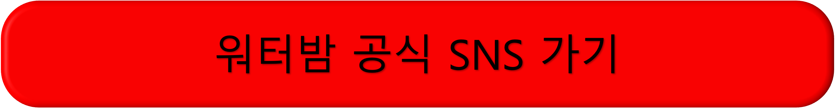 서울 워터밤 티켓팅 총정리 라인업 보기