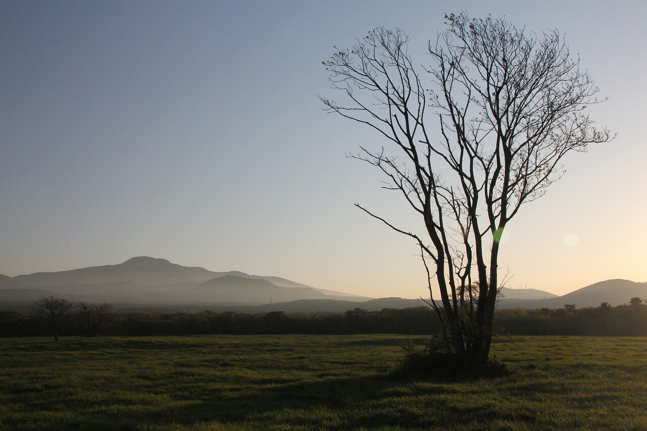 제주도 실내 가볼만한 곳 추천합니다.