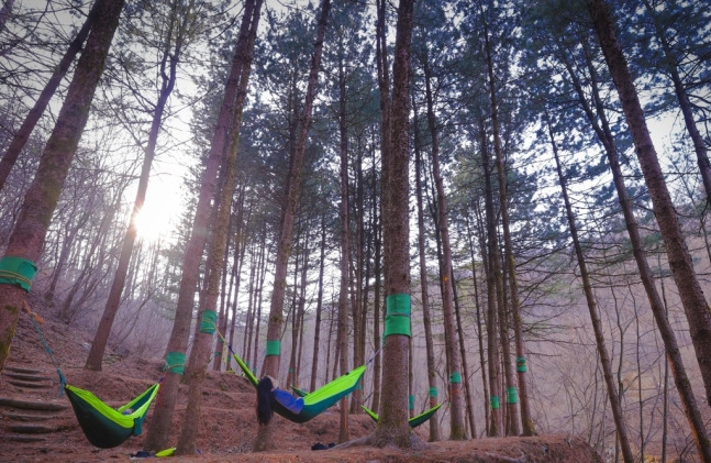 국립산림치유원