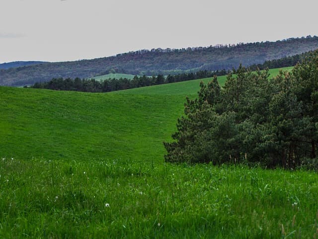 유기농 수산업: 친환경 방식으로 어류를 양식하는 법