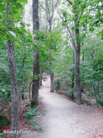 서울 둘레길 지도 3시간 미만 초급자 추천 코스 맛집 주차 총정리 1탄_21