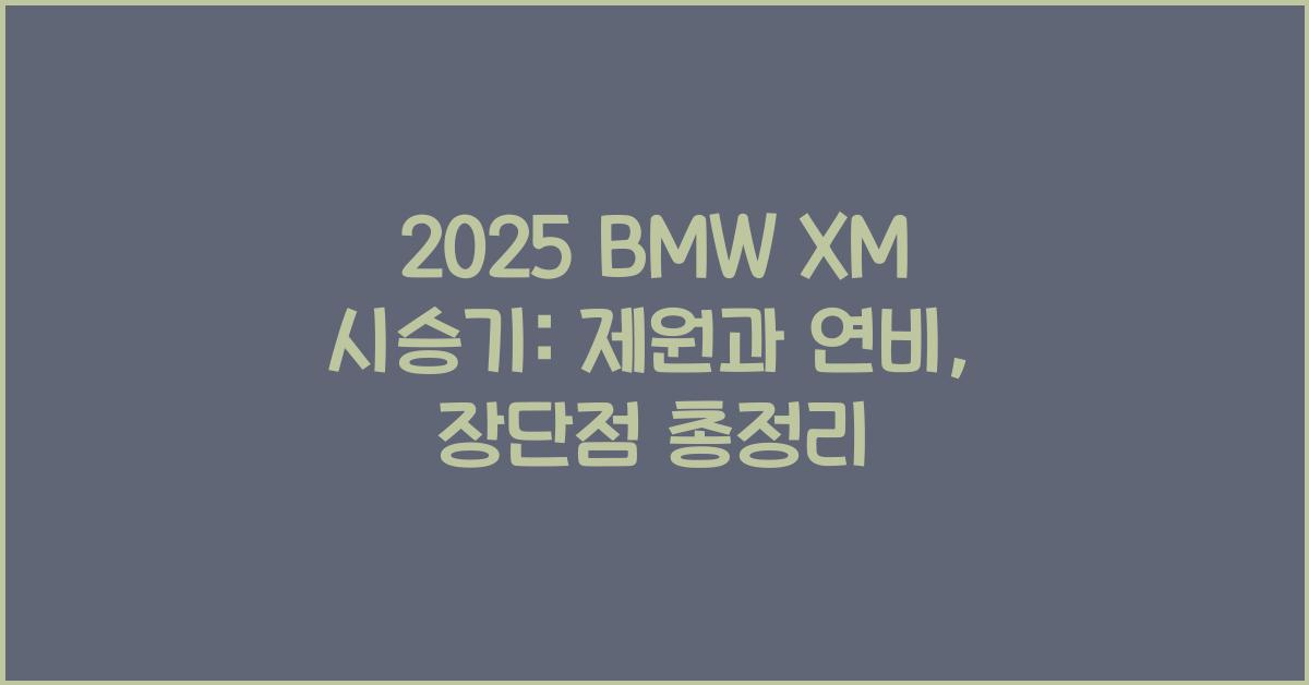2025 BMW XM 시승기 제원 연비 장단점 유지비 오너평가