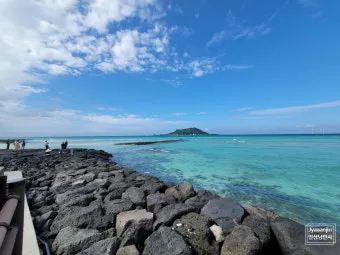 제주 협재 맛집 추천 카페와 브런치 맛집 포함_7