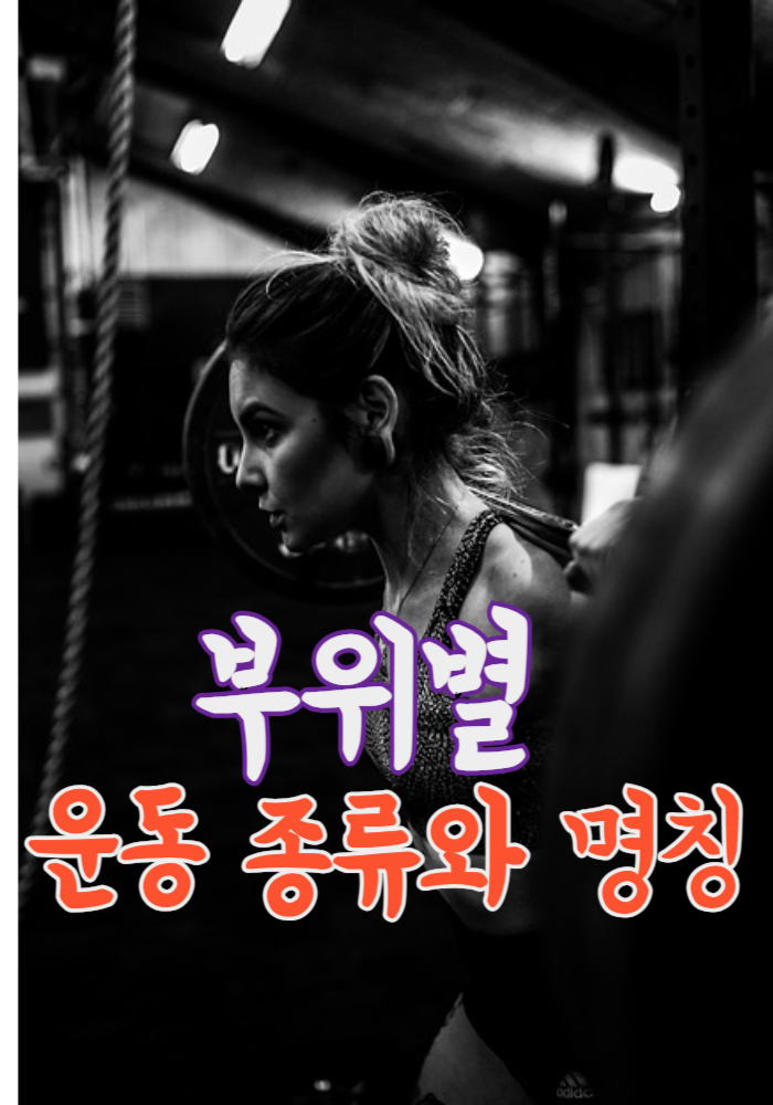 1.부위별 운동 종류 명칭