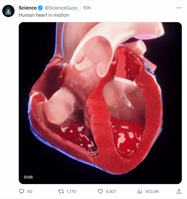 VIDEO: Human heart in action ㅣ Human digestive system