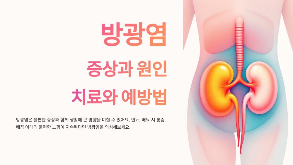 방광염 증상과 원인, 치료와 예방법!