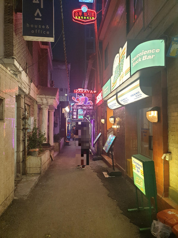 네온빛이 강렬한 힙지로. 멀리 핑크색 을지맥옥 간판이 보인다.