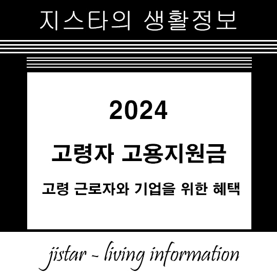 2024년 고령자 고용지원금 - 고령 근로자와 기업을 위한 혜택