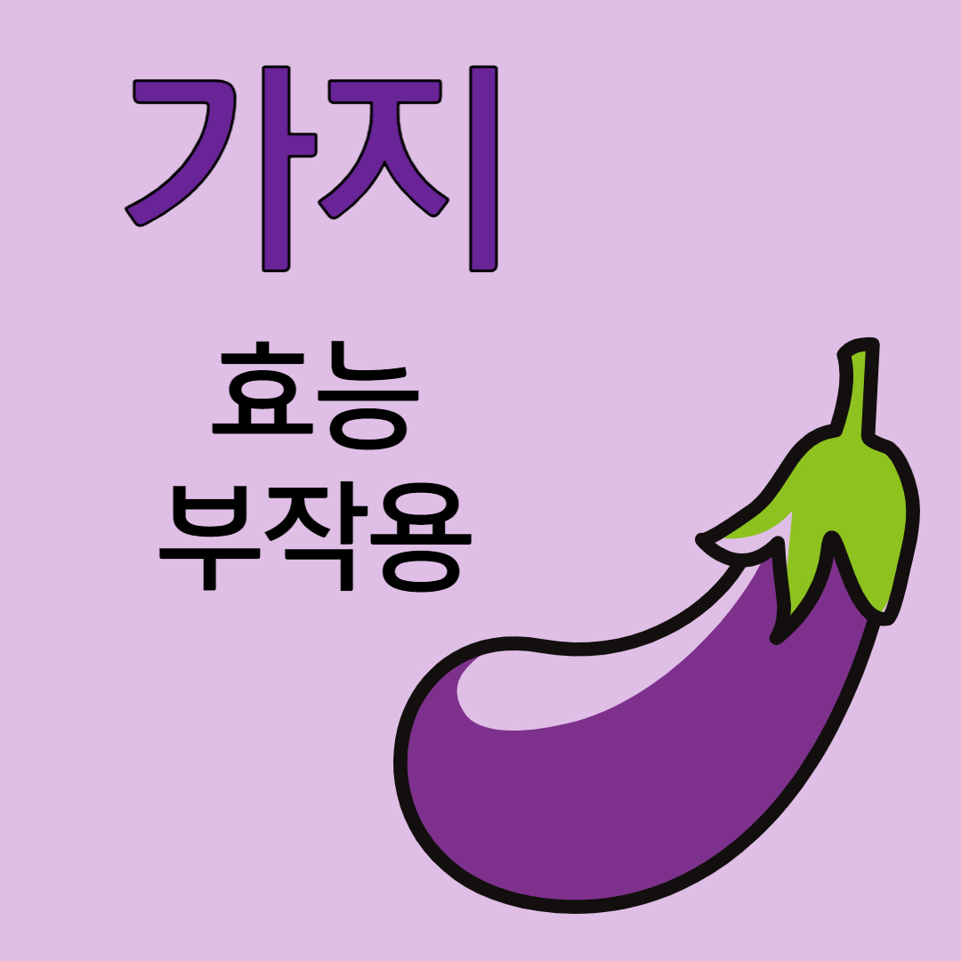 가지 효능 가지 부작용