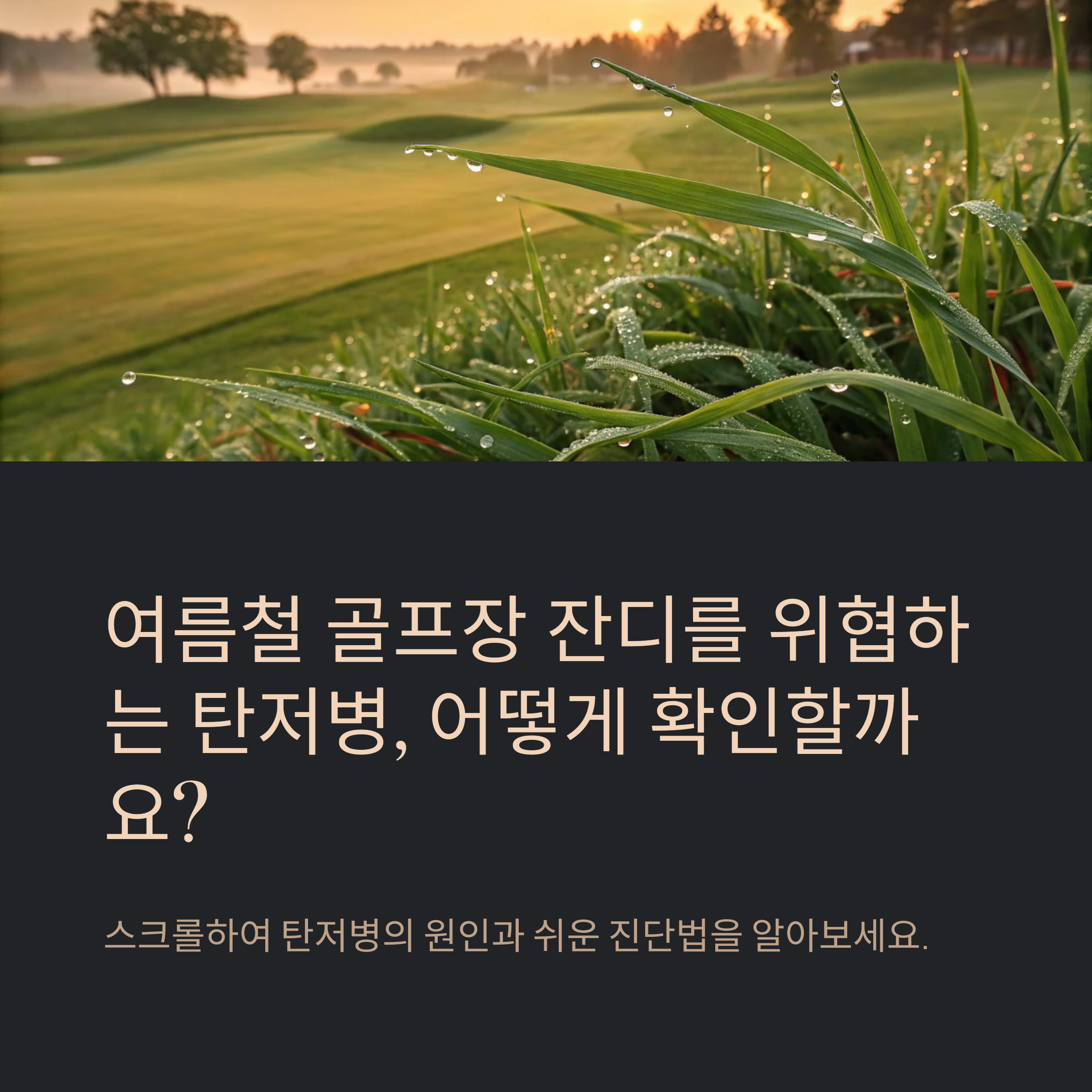 탄저병, 발생 원인과 현장 확인법