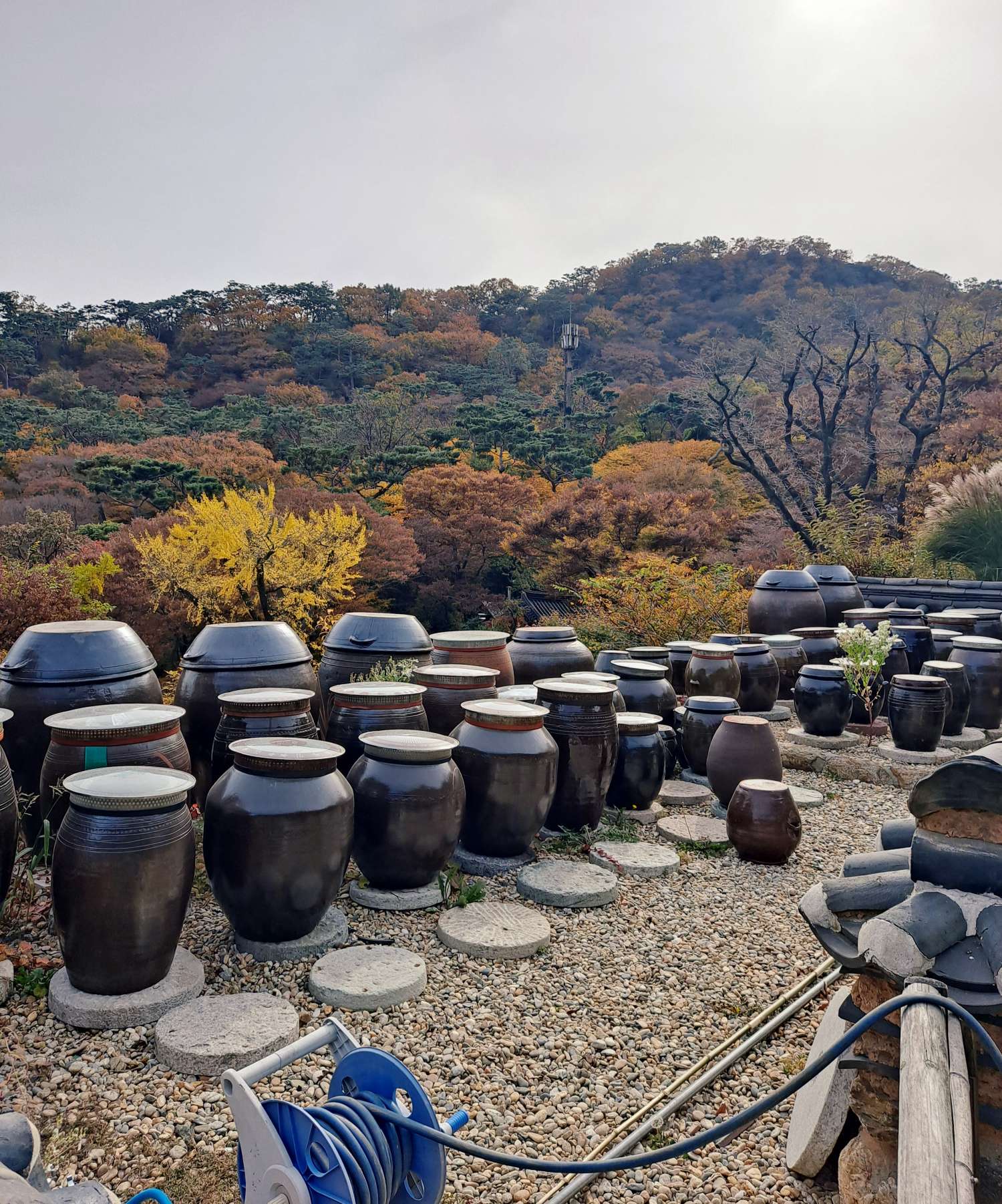 공양간 근처 장독대들