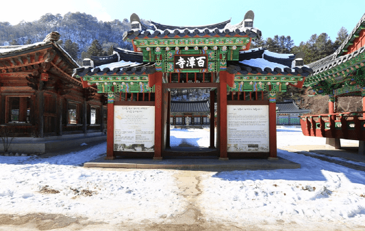 강원도 겨울 트레킹 추천 BEST 5 : 설경 걷기 좋은 길