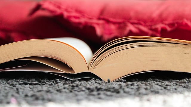 한 작가의 신작에 100만명이 결제했다 - 광기 수준의 팬덤 형성 비결 최초 공개