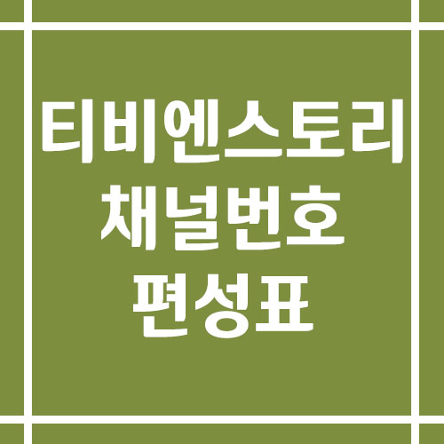 티비엔스토리 채널번호 및 편성표 조회 바로가기