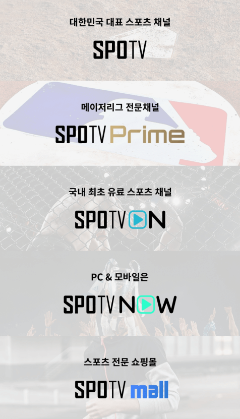 SPOTV-사이트-바로가기