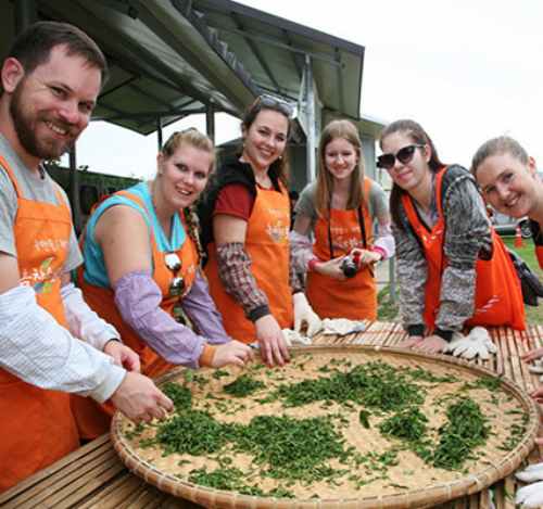 보성다향대축제