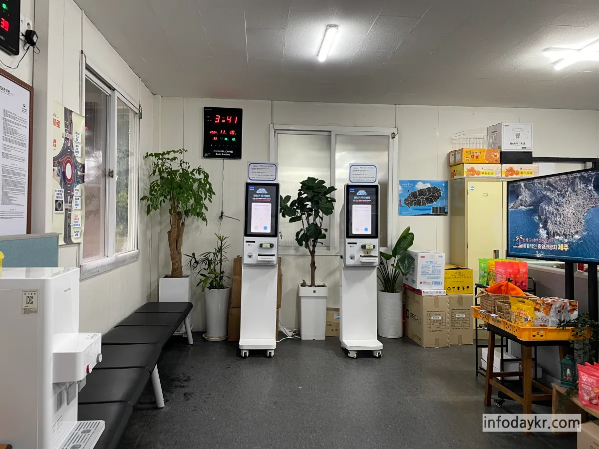 제주타요렌터카-내부