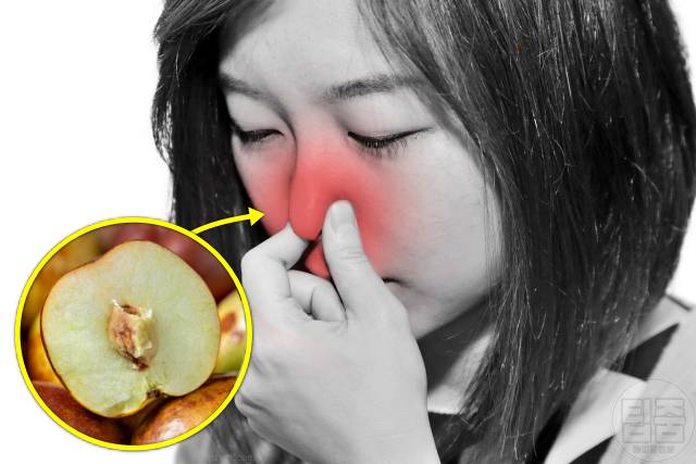 대추 매일 먹으면 3개 대추효능 비염