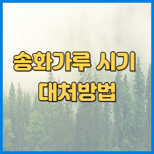 송화가루