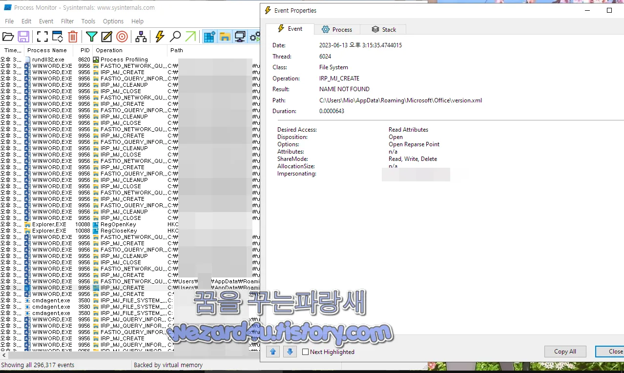 ProcessMonitor 본 version.xml 관련 부분