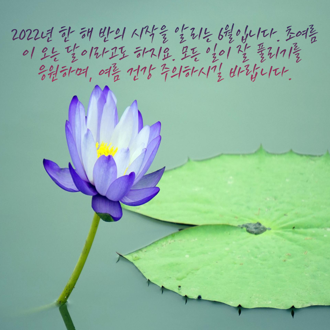 2022년 6월 문구