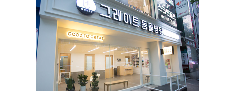 성남 분당구 동물병원