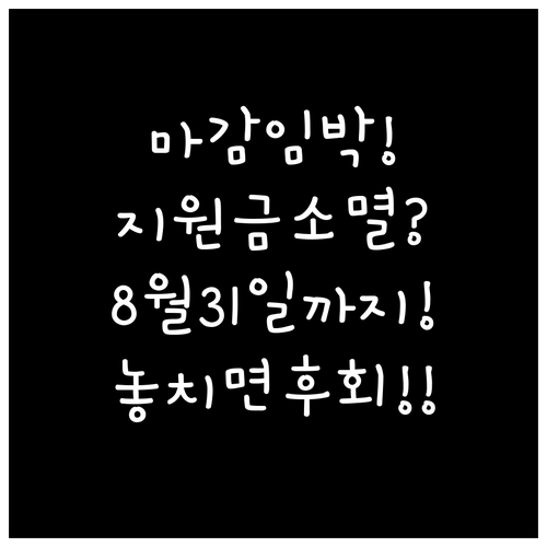 2026 민생회복지원금 사용 기한 8..